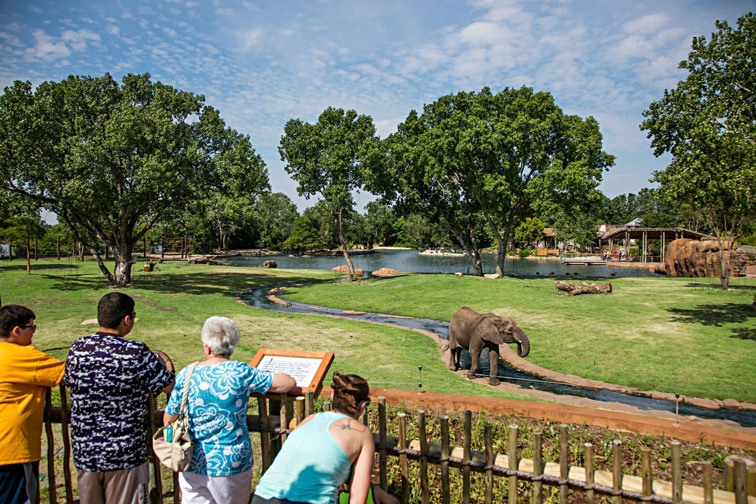 Visitors at a railing watching an elephant walk beside a stream in a large open habitat at the Sedgwick County Zoo